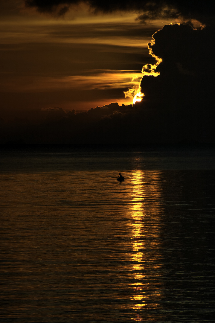 Sunset Fisher in Koh Phangan, Thailand