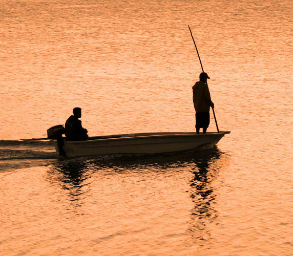 Sunset Fishing