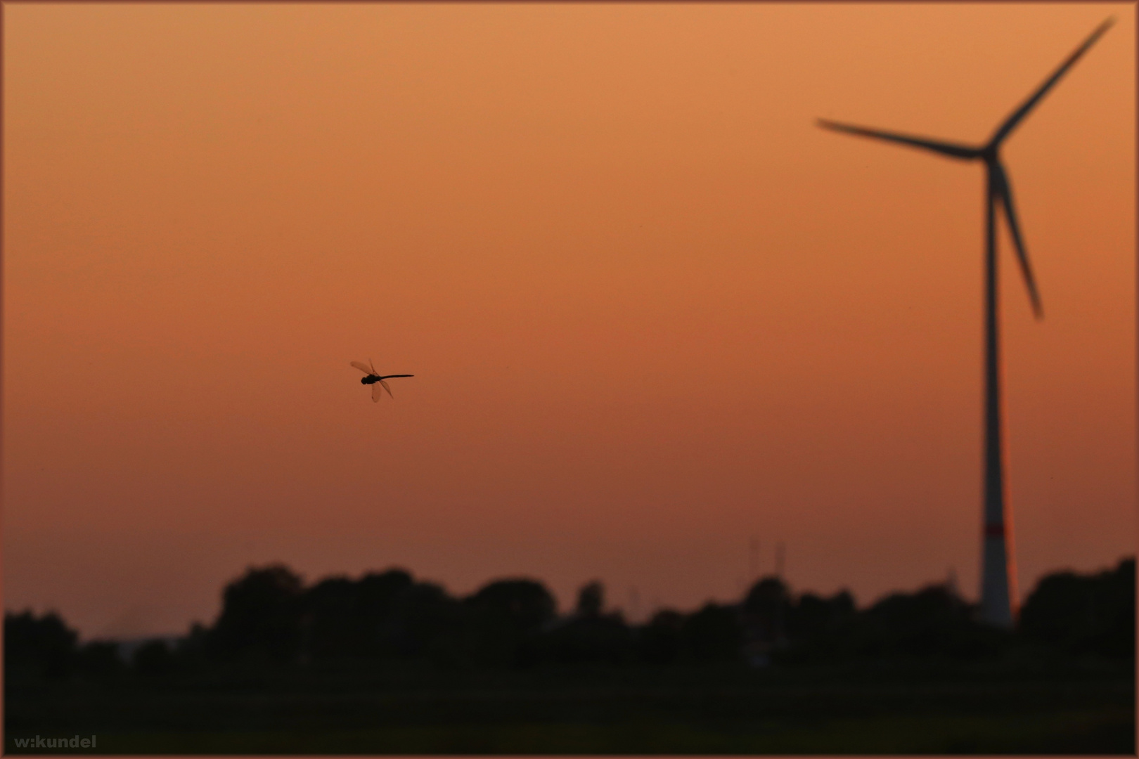 sunset fliegen