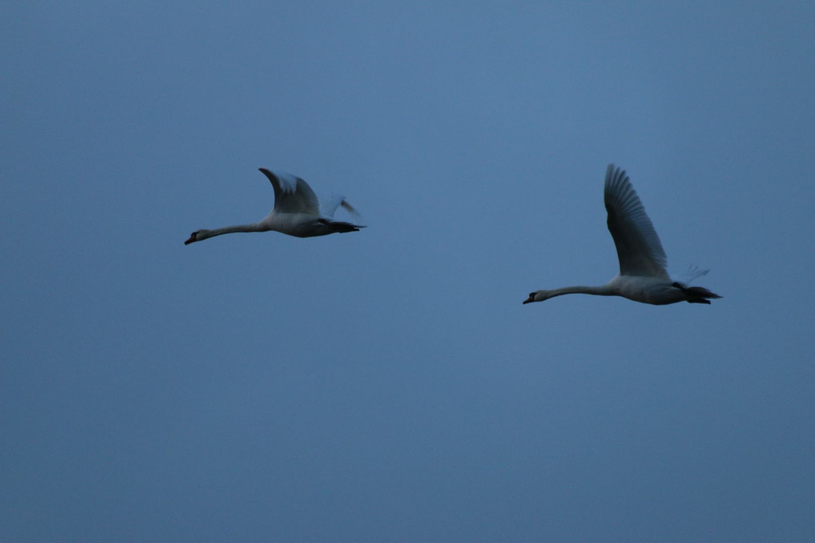 Sunset Flyby