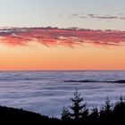 Sunset Fog Panorama