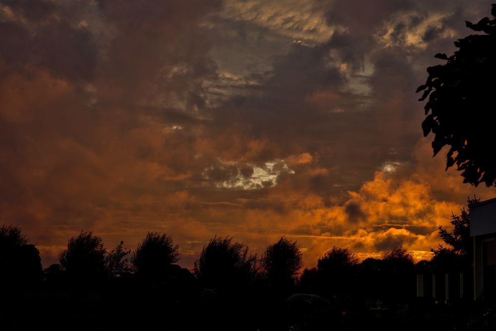 Sunset from East Holland to West Holland