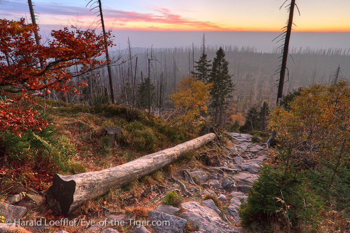 Sunset from Mt. Lusen