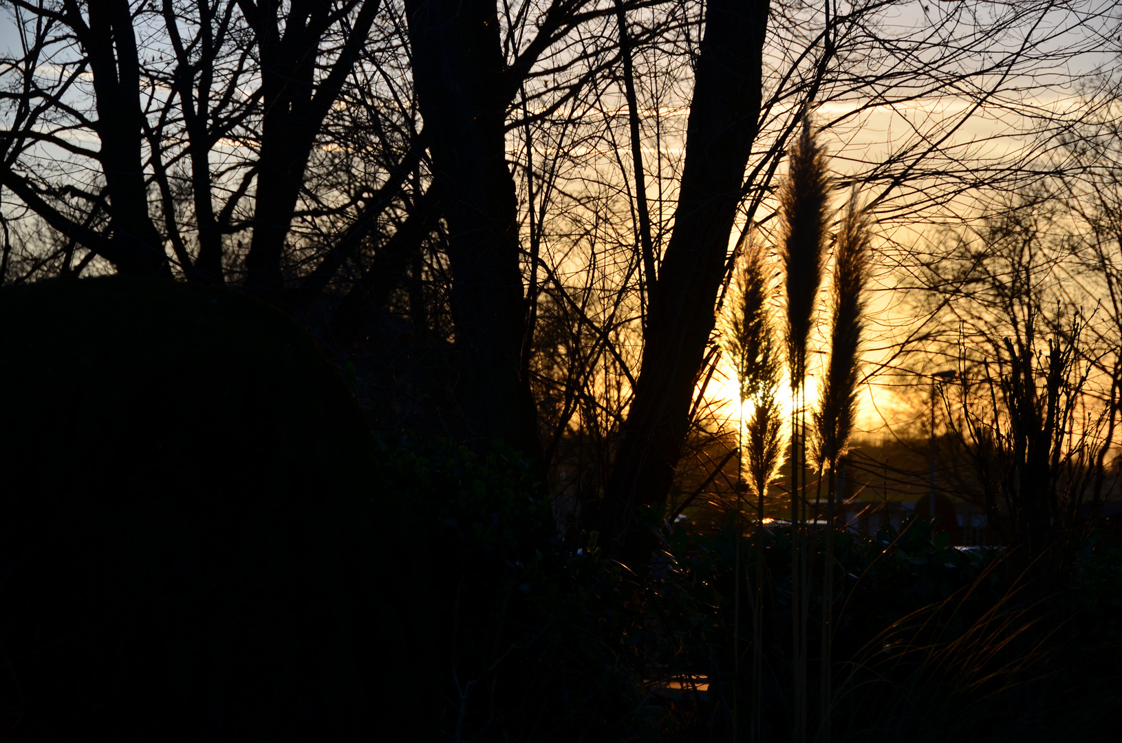 Sunset Garden