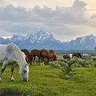 Sunset Grand Tetons