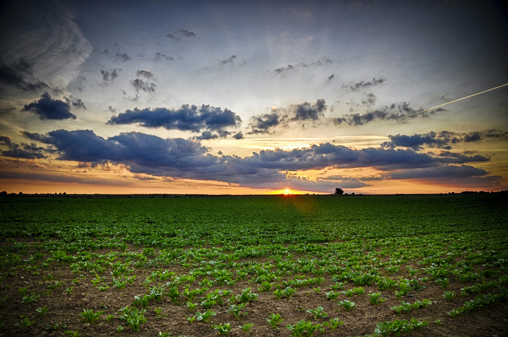 Sunset HDR