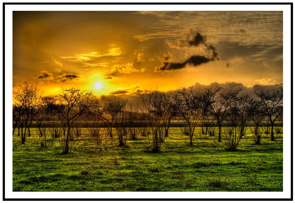 Sunset HDR