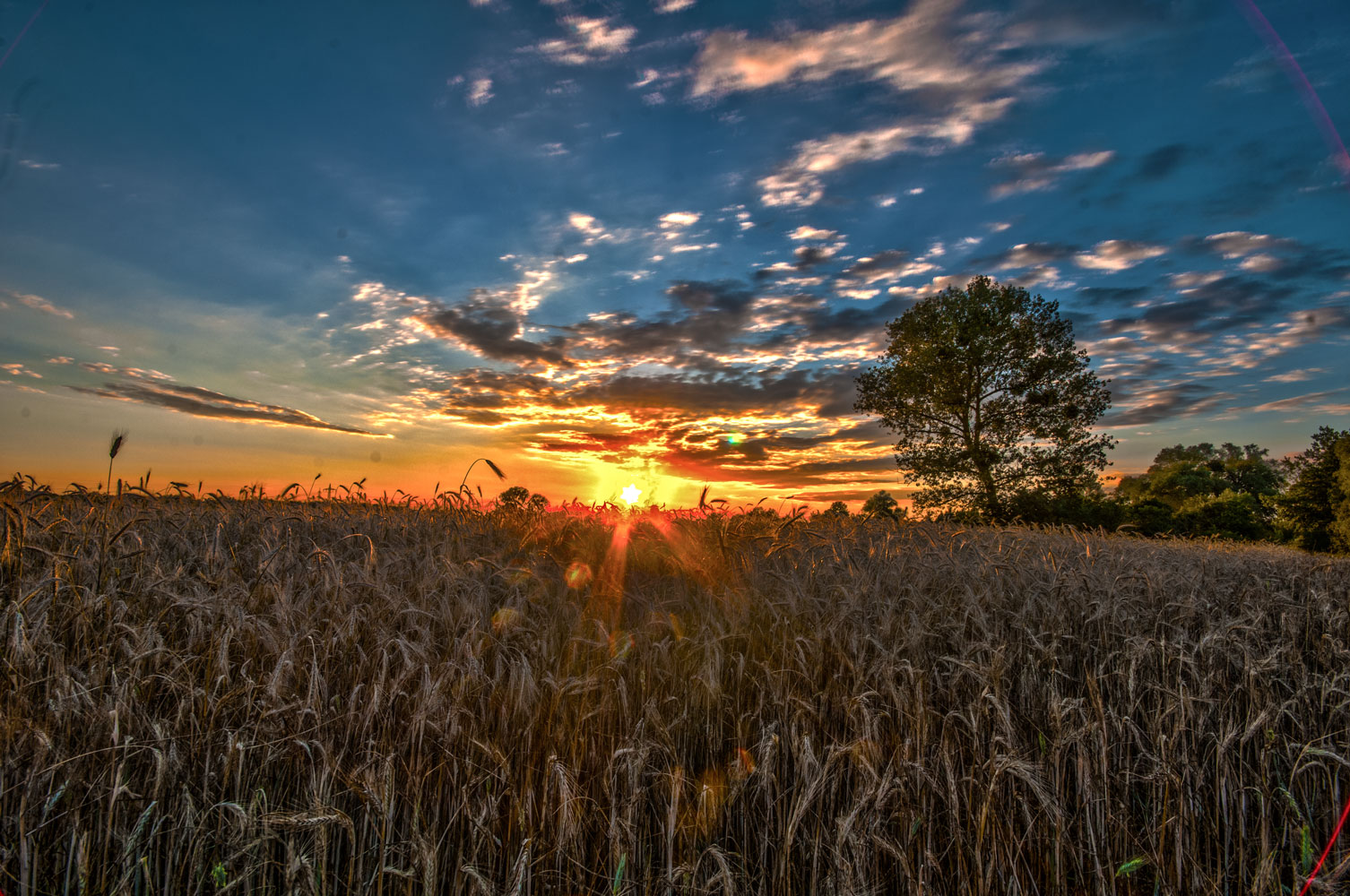 Sunset HDR