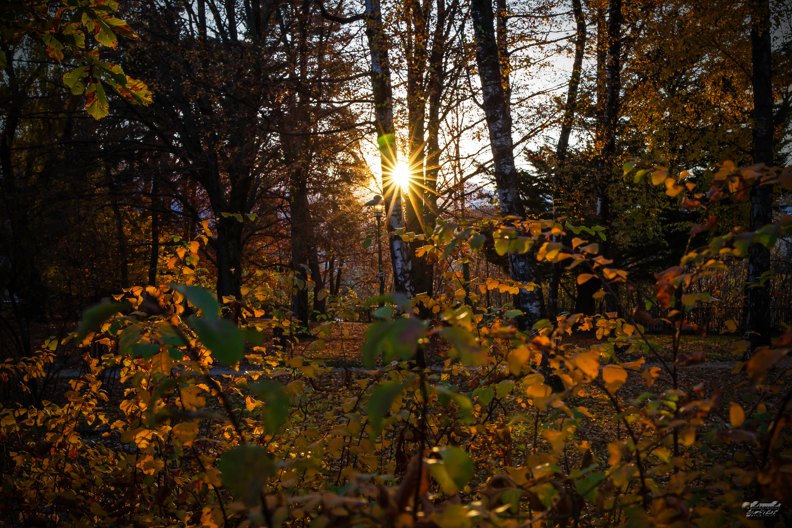 sunset Hofgarten Innsbruck