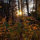 sunset Hofgarten Innsbruck