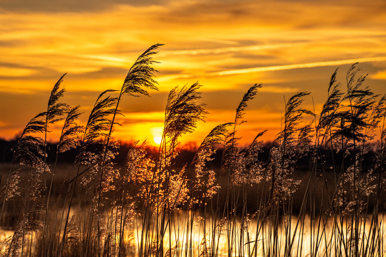 Sunset Hootmanns Meer