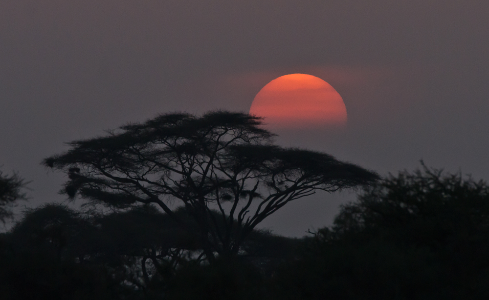 Sunset im Amboseli NP