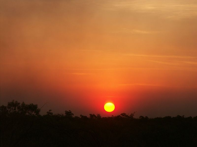 Sunset im Buschland