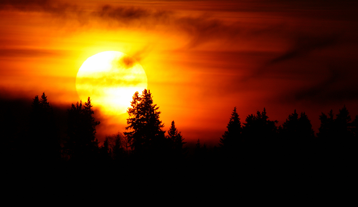 Sunset im Elk island Park