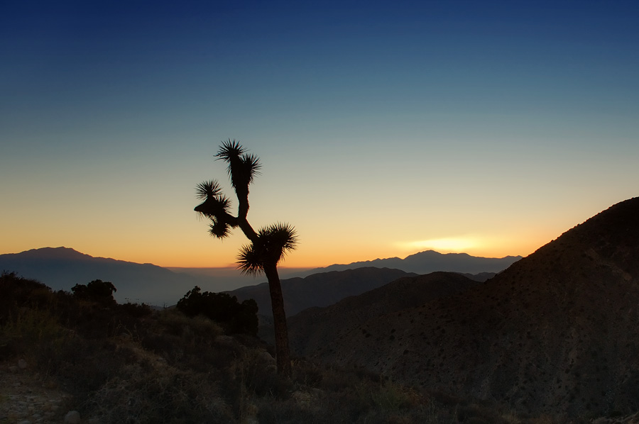 Sunset im Joshua Tree NP