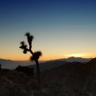 Sunset im Joshua Tree NP