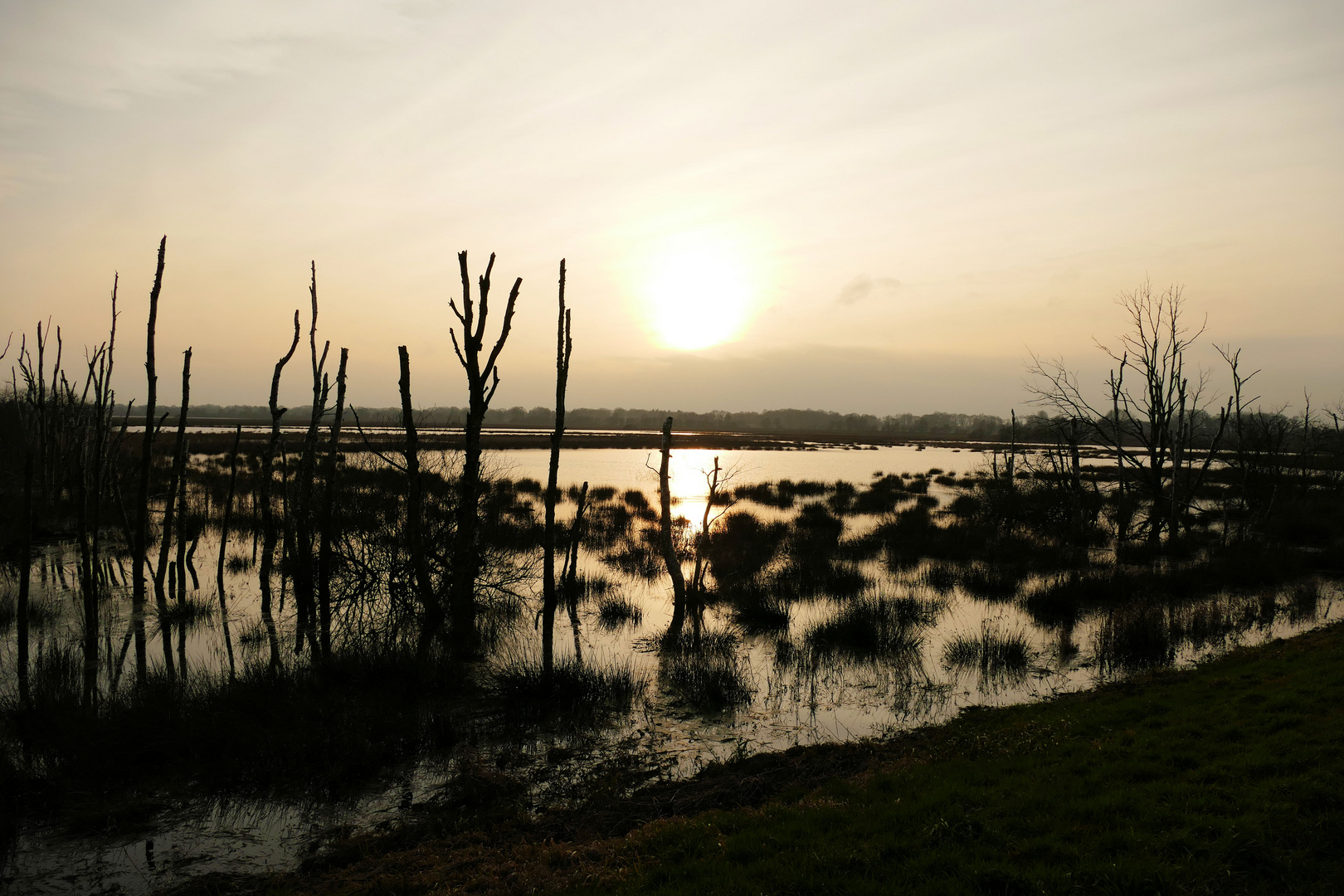 Sunset im Moor