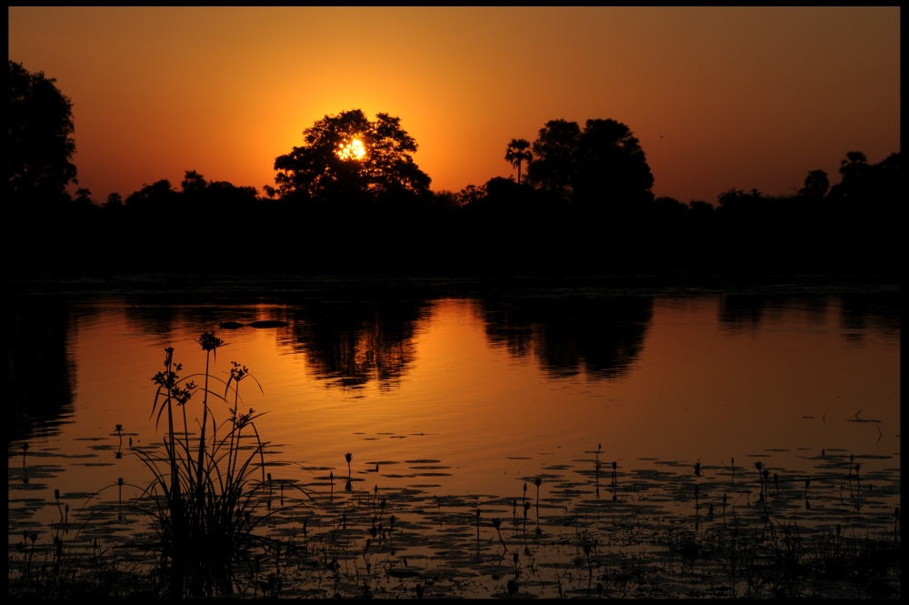 Sunset im Okavango Delta