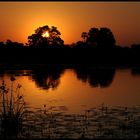 Sunset im Okavango Delta