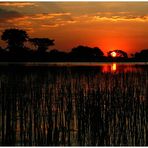 Sunset im Okavango-Delta