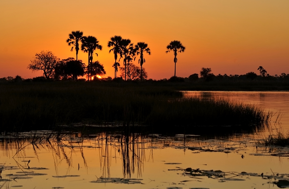 Sunset im Okavango Delta