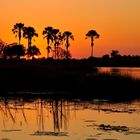 Sunset im Okavango Delta