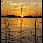 Sunset im Okawango