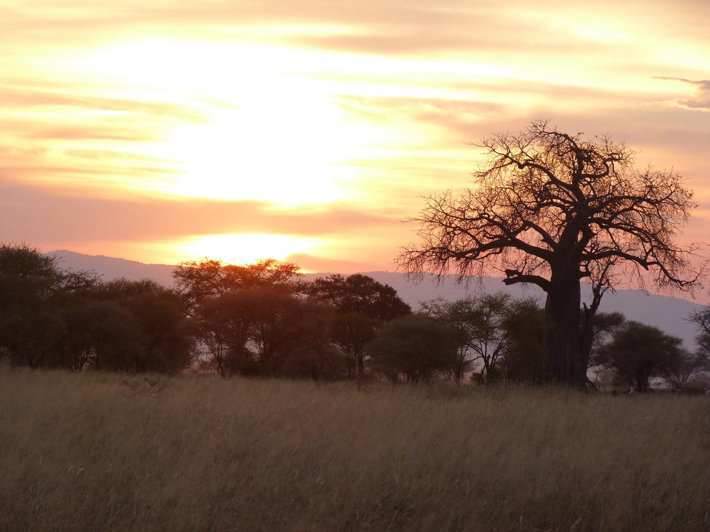 Sunset im Tarangire-park