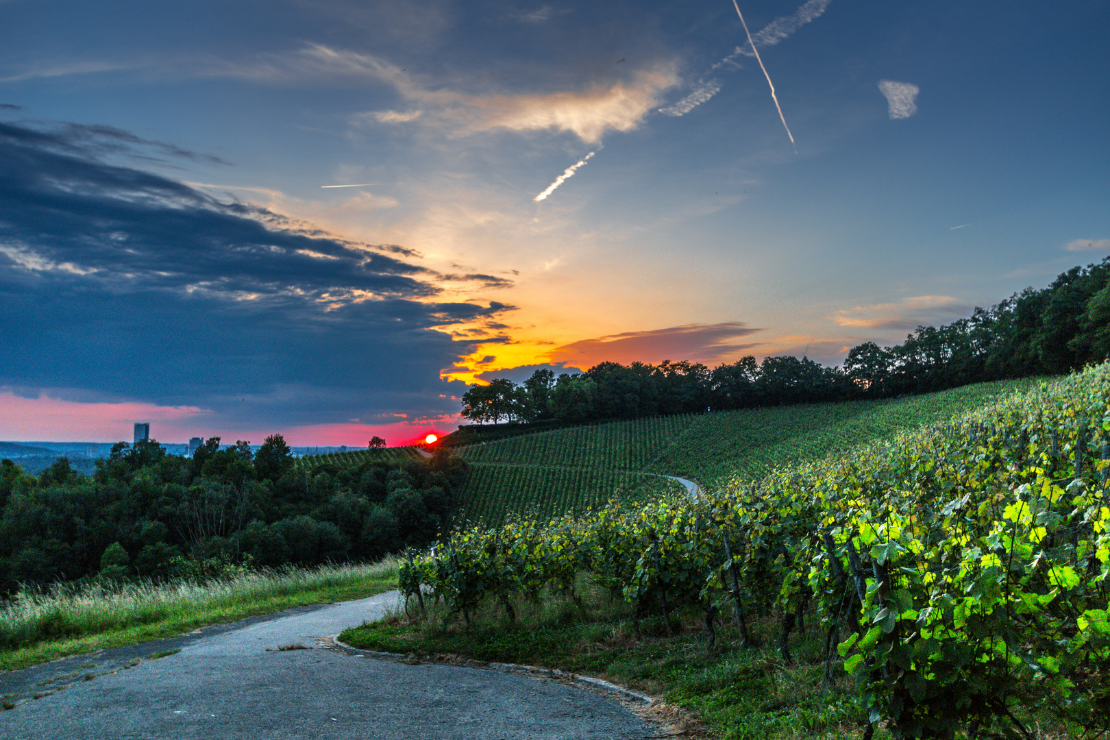 Sunset im Weinberg