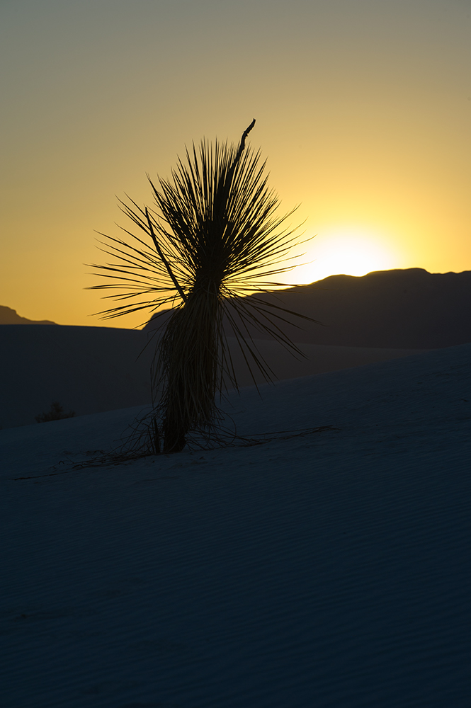 Sunset im White Sands NM