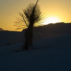 Sunset im White Sands NM