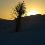 Sunset im White Sands NM