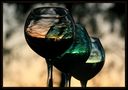 sunset in a wine glass von MadMax82 