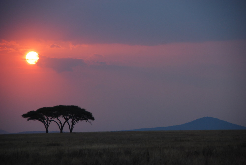 Sunset in africa