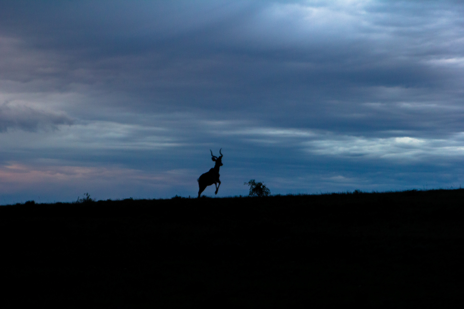 Sunset in Africa