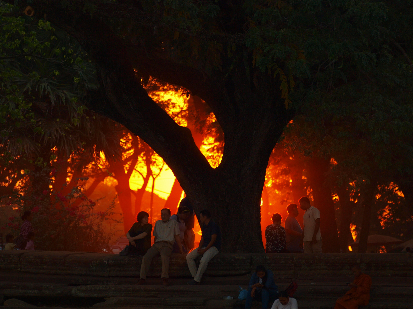 Sunset in Angkor Wat