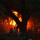 Sunset in Angkor Wat