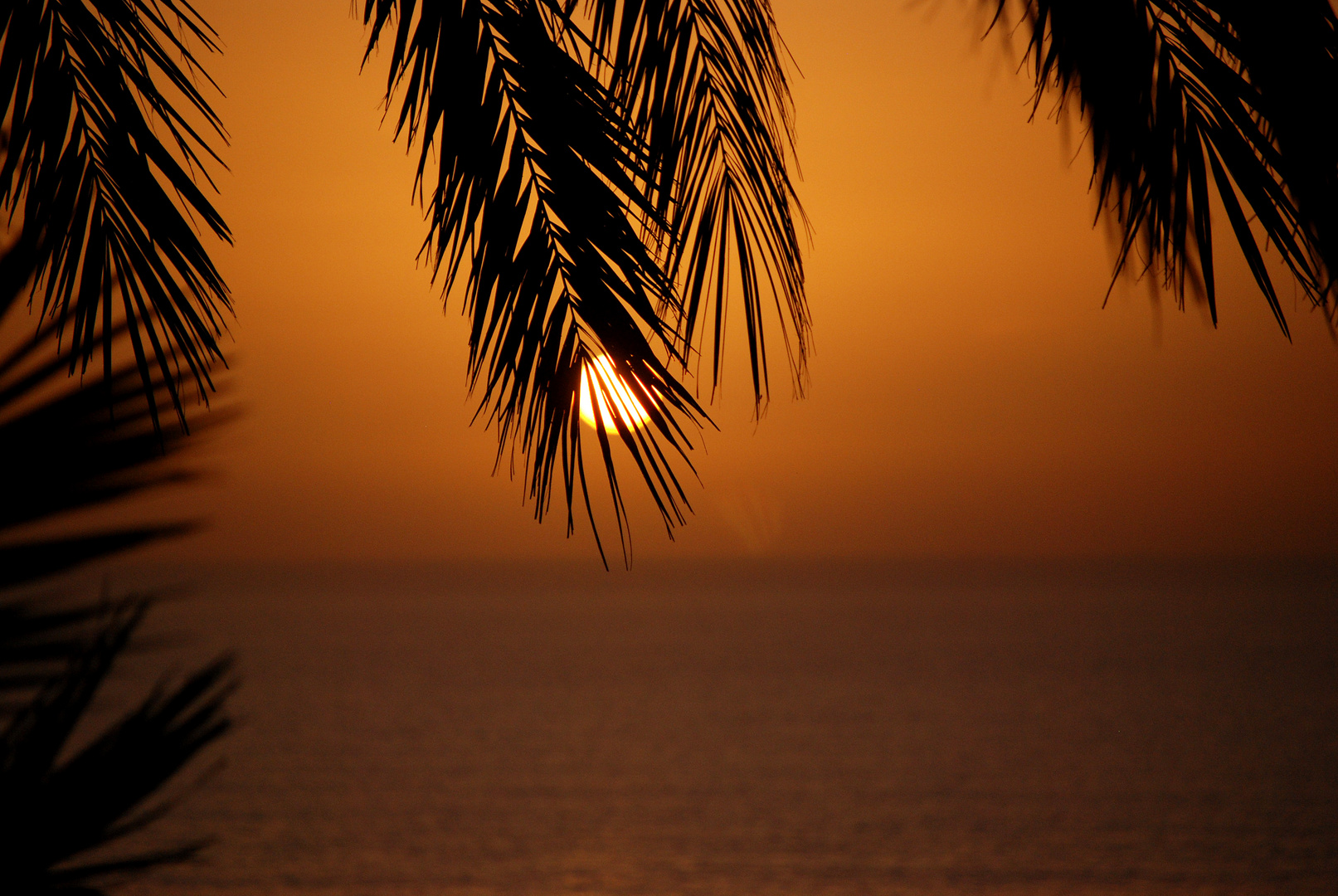 Sunset in Aourir - Morocco