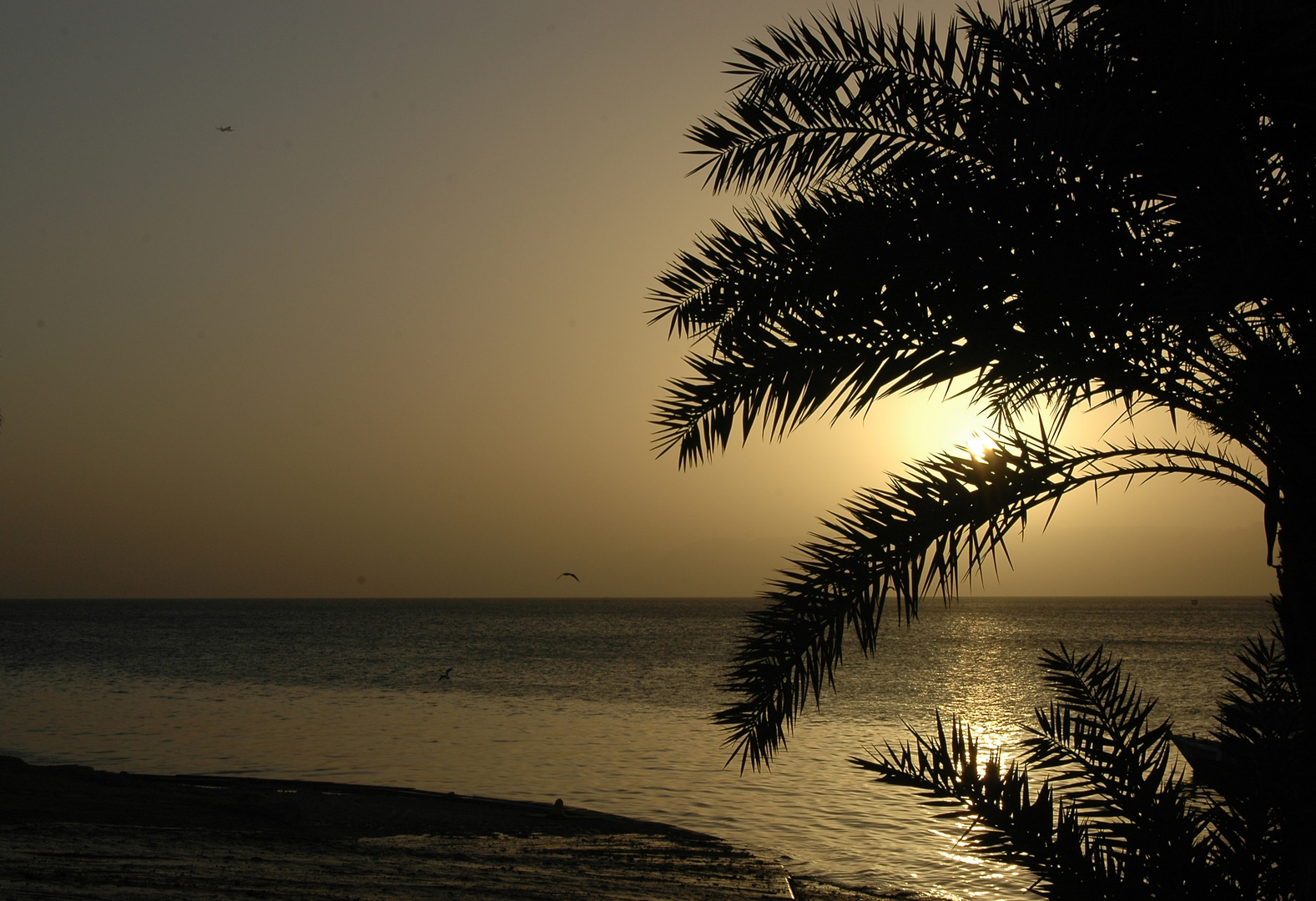 Sunset in Aqaba