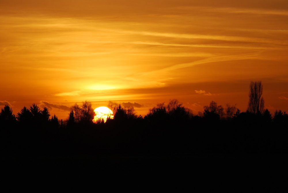 Sunset in Bonn