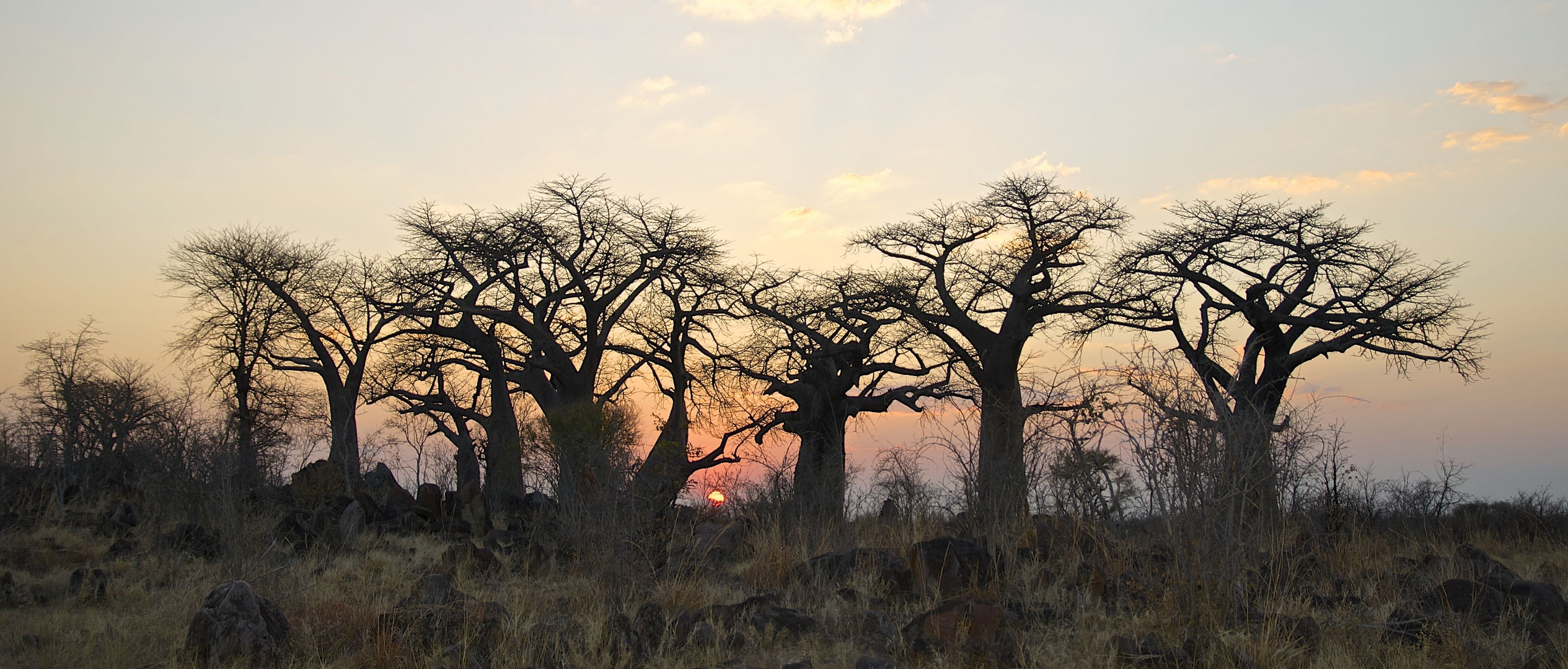 Sunset in Botswana