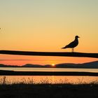 Sunset in British Columbia