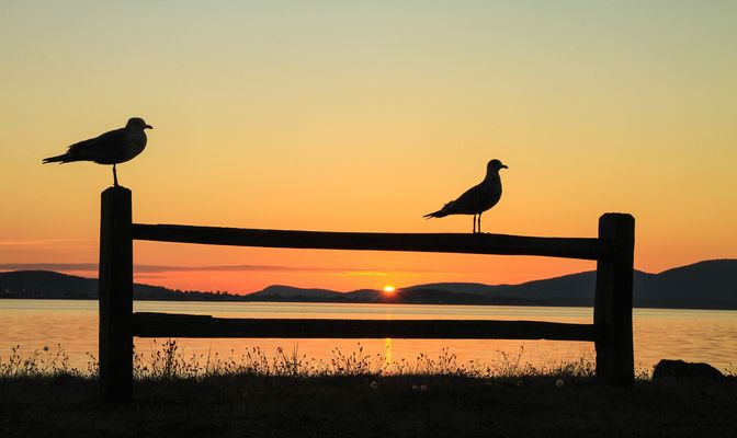 Sunset in British Columbia