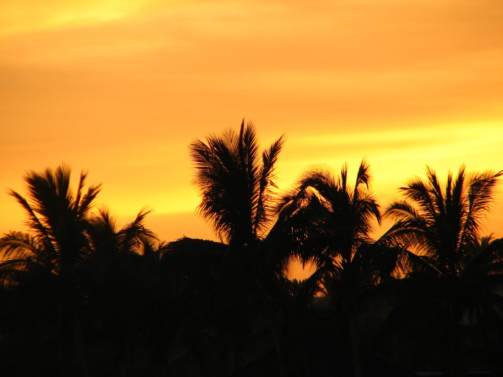 Sunset in Cabos San Lucas