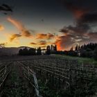 Sunset in Chianti