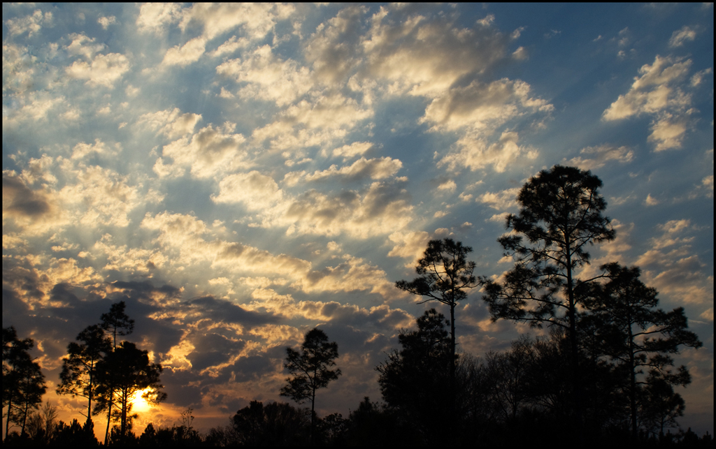 Sunset in Chiefland