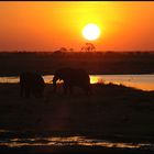 Sunset in Chobe NP