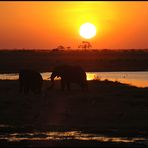 Sunset in Chobe NP