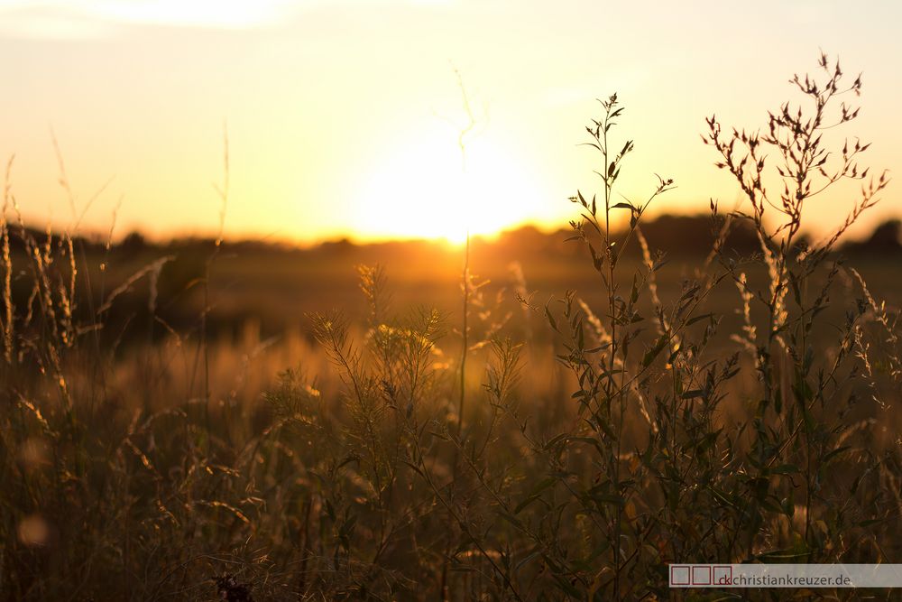 Sunset in Chörau 1