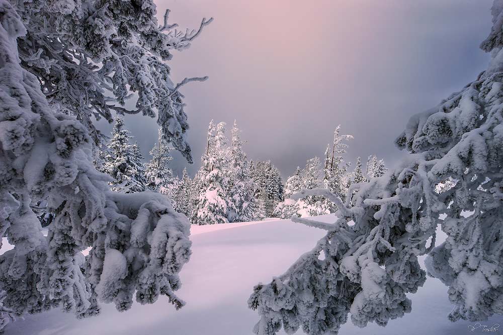 sunset in cloudy snow day